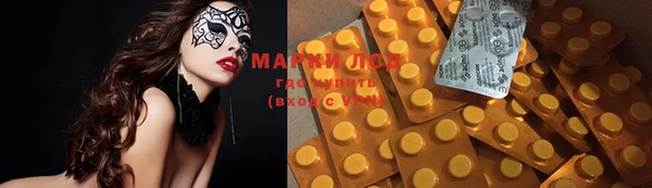 ECSTASY Новый Уренгой