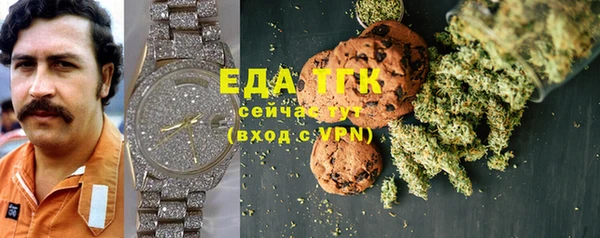 индика Киренск