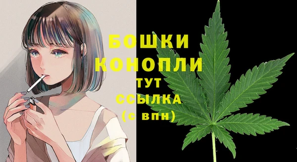 ECSTASY Новый Уренгой