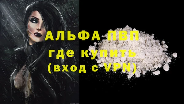ECSTASY Новый Уренгой
